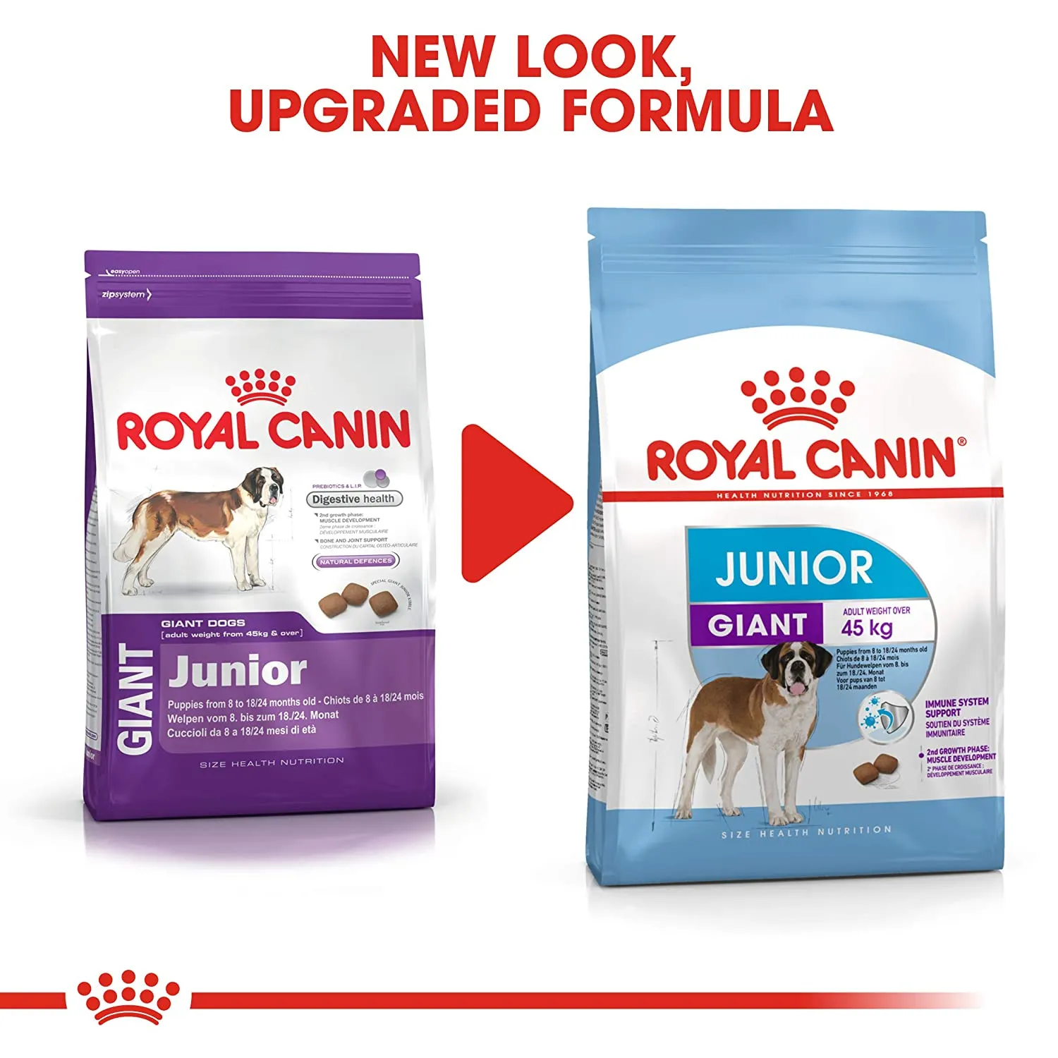 Корм royal canin для собак мелких пород. Роял Канин для щенков 3 кг. Роял Канин Паппи для щенков мелких пород. Роял Канин Эксиджент мини 3кг для собак. Роял Канин мягкий корм для собак мелких пород.